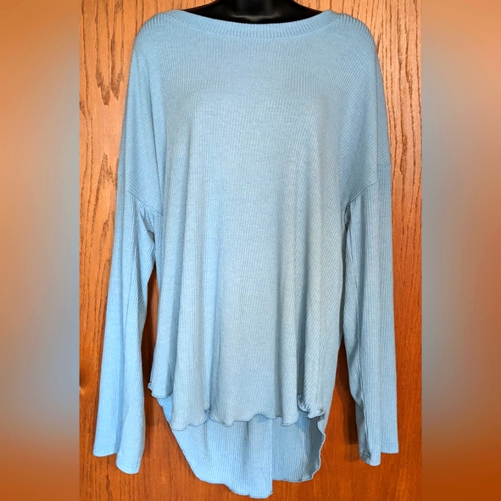 NWT Susan Betro (Simple) light blue, long sleeve, open back top,‎ size 2X, soft